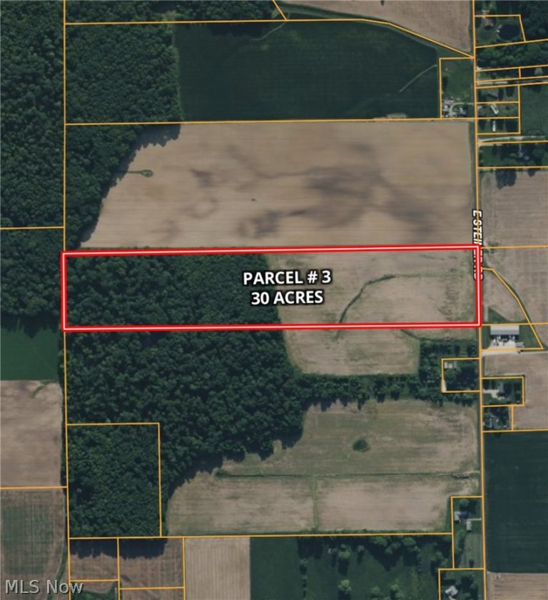 Steiner Road, Creston, OH - Photo 2