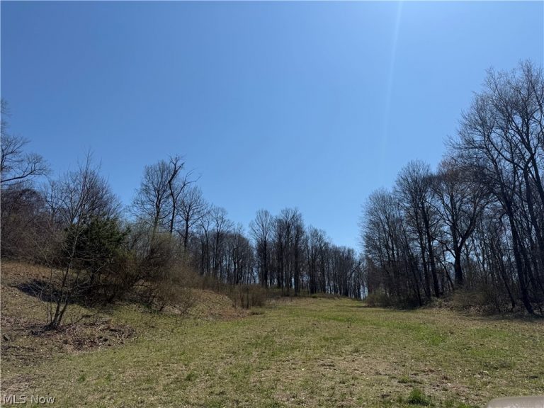Kragel Road, Wintersville, OH - Photo 6