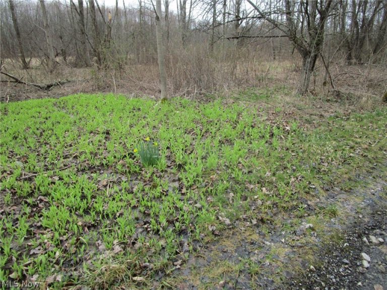 4381 Higley Road, Rome, OH - Photo 2