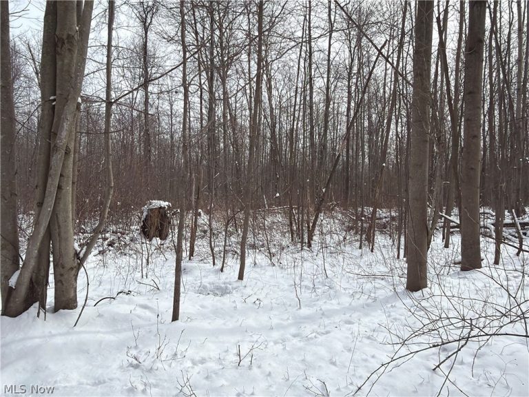Munson Hill Road, Ashtabula, OH - Photo 3