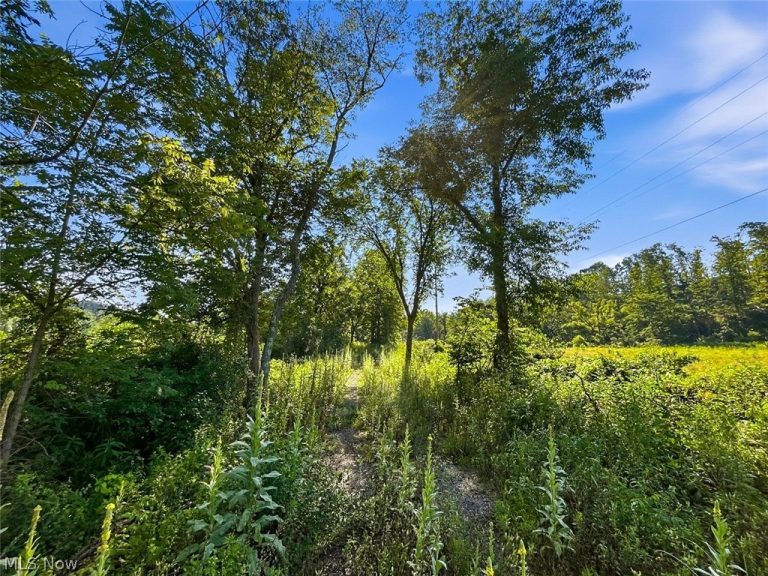 State Route 155, Corning, OH - Photo 4