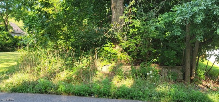 Garfield Street, Akron, OH, 44310