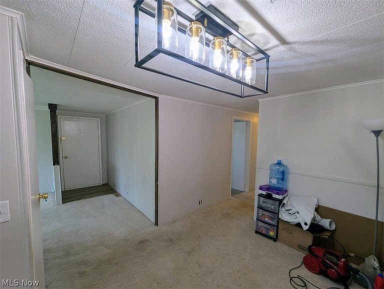 7 Cardinal Drive, Hiram, OH - Photo 5