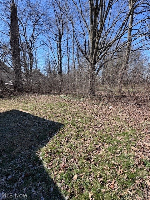 516 Wildwood Avenue, Akron, OH - Photo 3