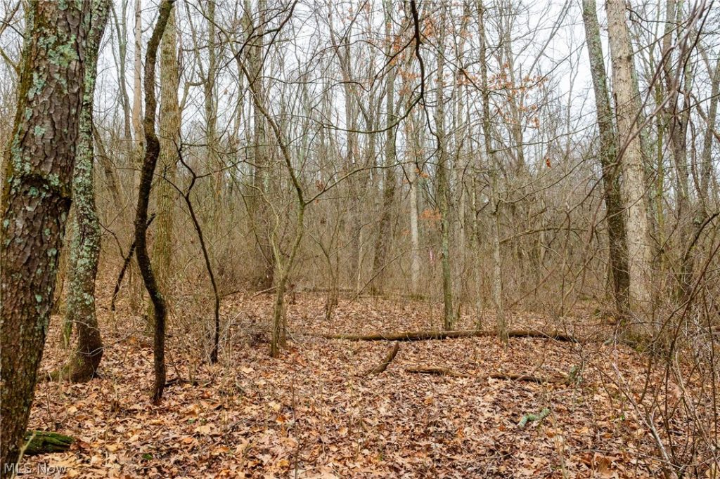 10445 Shannon Road, Frazeysburg, OH