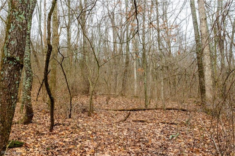 10445 Shannon Road, Frazeysburg, OH, 43822