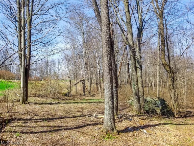 17805 Early Cemetary Road, Kimbolton, OH - Photo 5