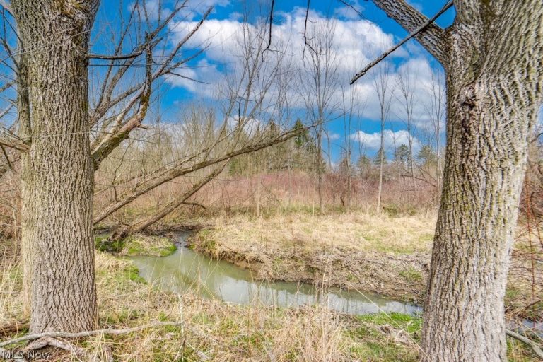 1846 Lester Road, Valley City, OH - Photo 8