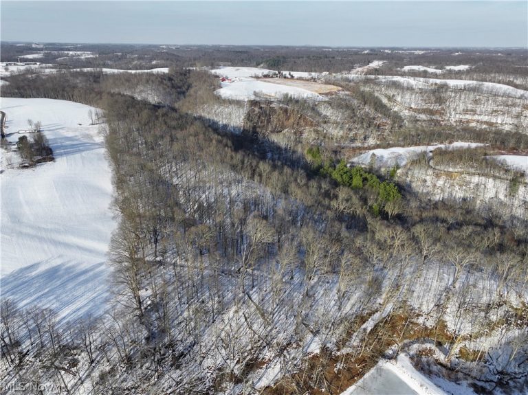 Tract 2 MORRS RIDGE Road, Woodsfield, OH - Photo 3
