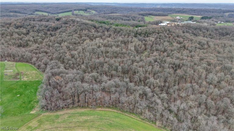 5742 Hilltop Drive, Strasburg, OH - Photo 8