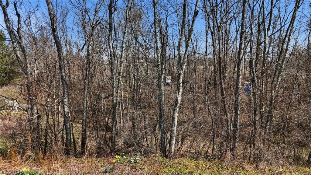 14489 Clay Pike, Senecaville, OH