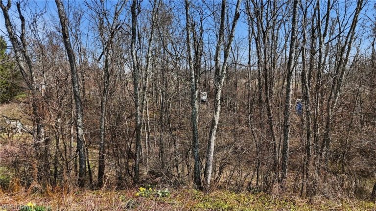 14489 Clay Pike, Senecaville, OH, 43780