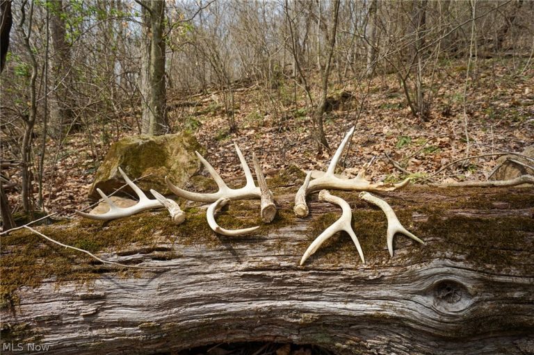 McKee Hill Rd, Frazeysburg, OH - Photo 2