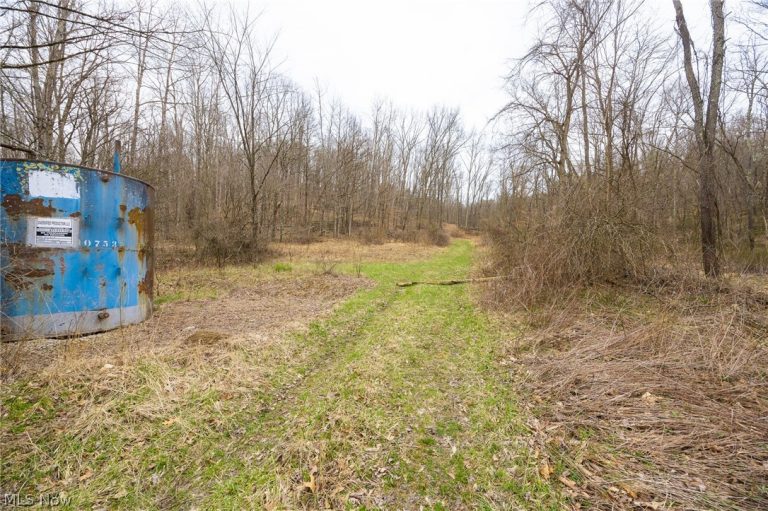 Township Road 71, Killbuck, OH - Photo 6