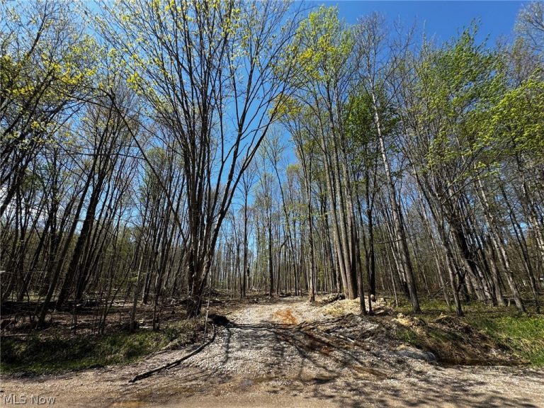v/l Hines Road, Kingsville, OH, 44048