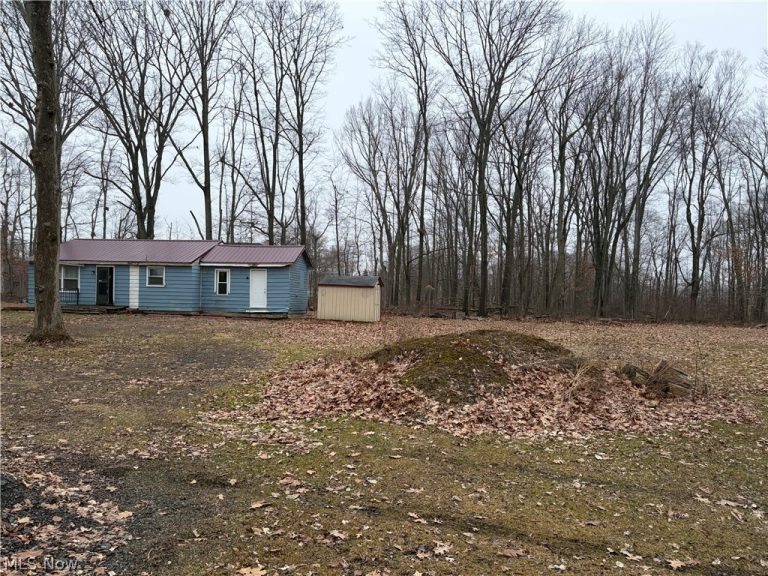42082 Duquesne Street, Columbiana, OH - Photo 6