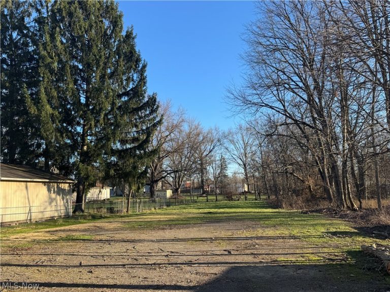 1145 Stiles, Warren, OH - Photo 6