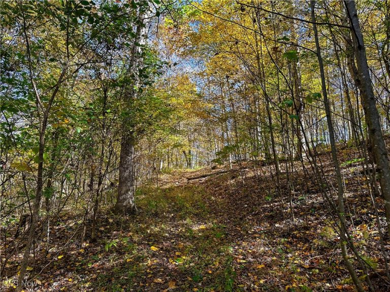 Clark Road, Cutler, OH - Photo 6
