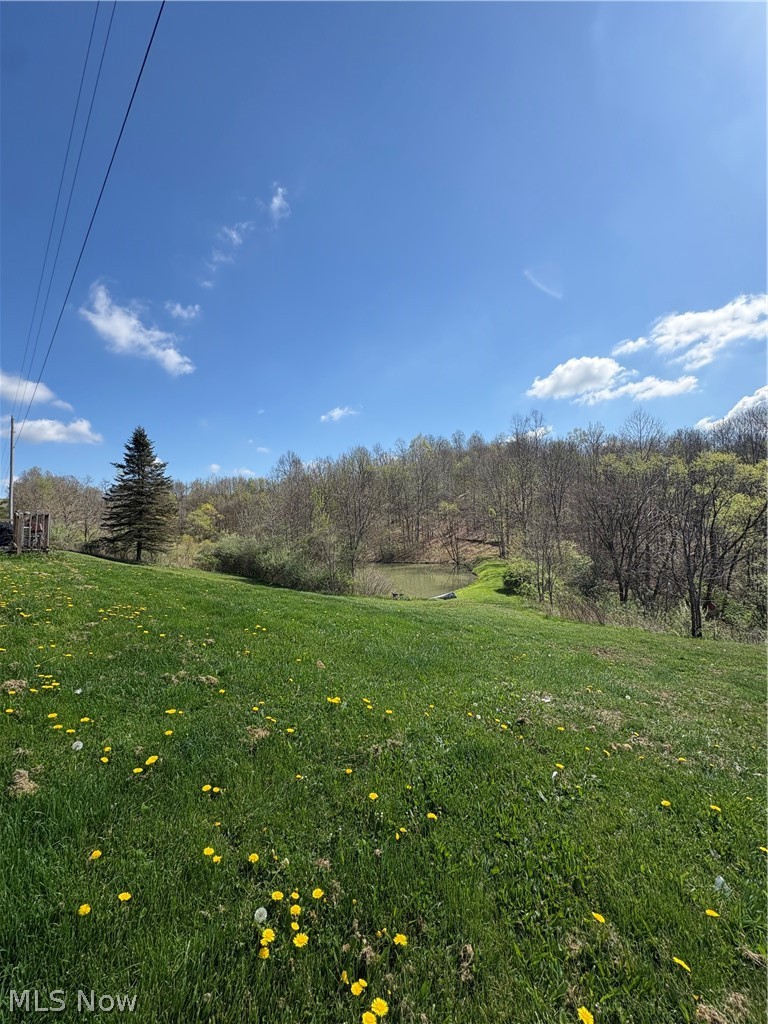 6547 Crane Run Road, Cumberland, OH - Photo 2