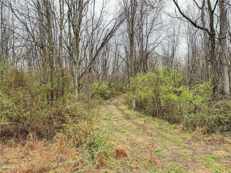 Buck Hill Road, Frazeysburg, OH - Photo 3