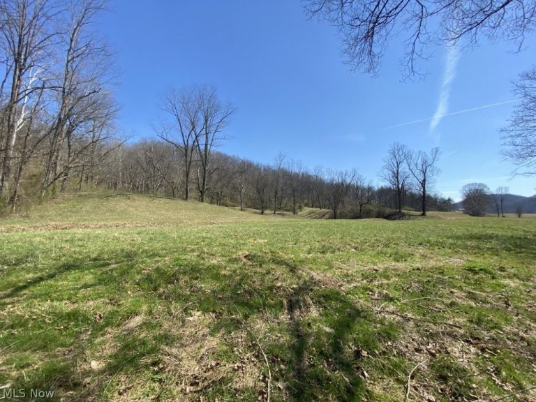 988 Young Lane, Elizabeth, WV - Photo 6