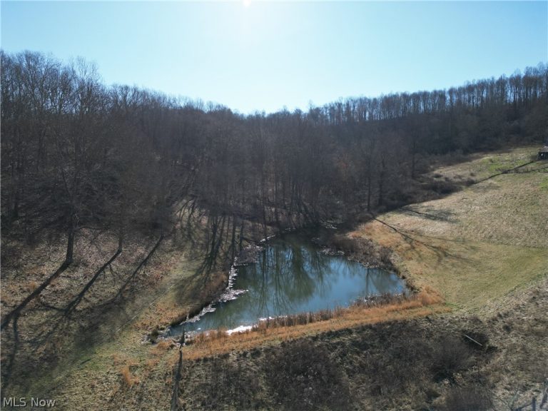 31785 PIEDMONT-FREEPORT Road, Freeport, OH - Photo 6