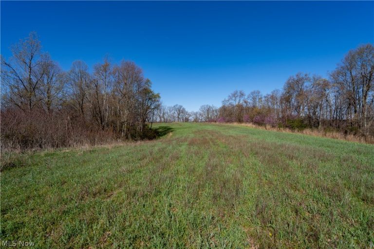 Sealover Hollow Rd Road, Philo, OH - Photo 4