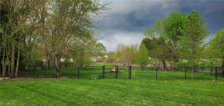 3125 Beechwood Avenue, Alliance, OH - Photo 4