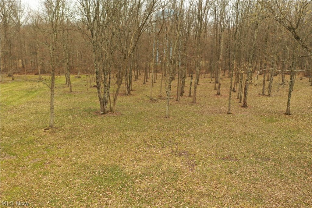 535 Bell, Columbiana, OH