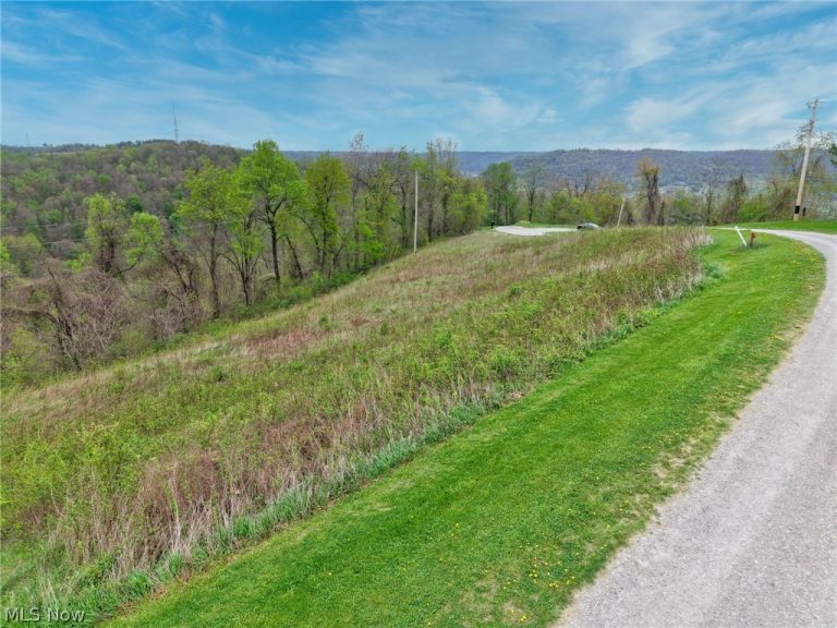 Country Boulevard Lot 7, Clarington, OH - Photo 8