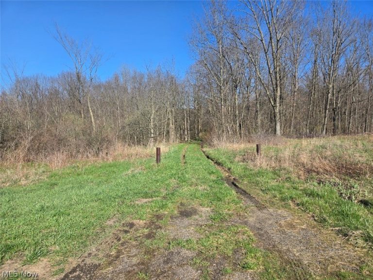 11154 Shetler Avenue, Bolivar, OH - Photo 2