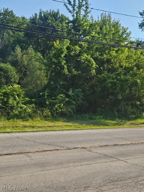 Carpenter 19th Road, Ashtabula, OH - Photo 2