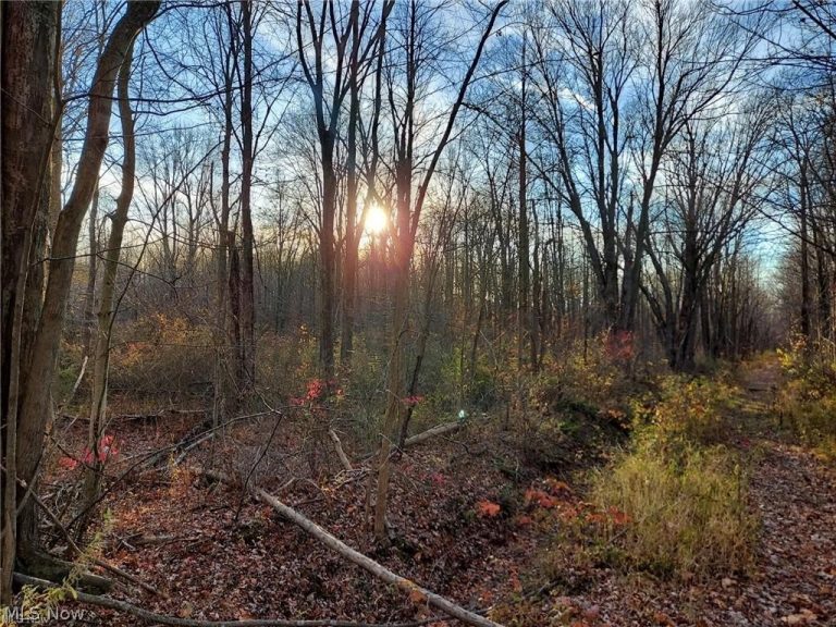 Magnolia Drive #5, Madison, OH - Photo 5