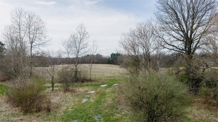 5006 Canfield Niles Road, Canfield, OH - Photo 6