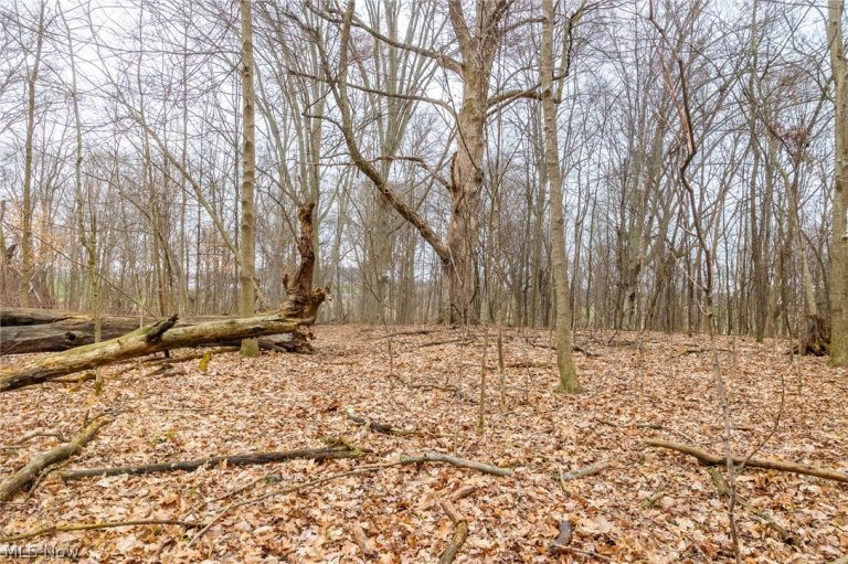 Pigeon Run Avenue, Navarre, OH - Photo 8