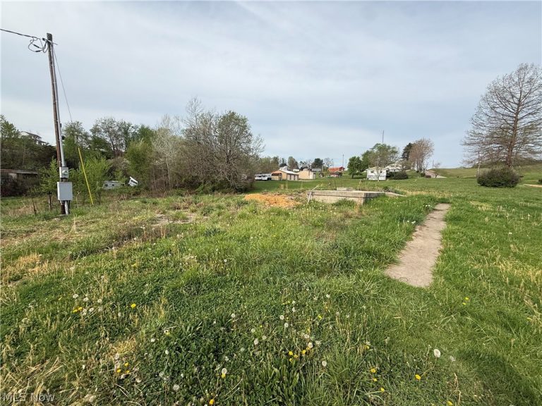 42135 Union Road, Sardis, OH - Photo 3