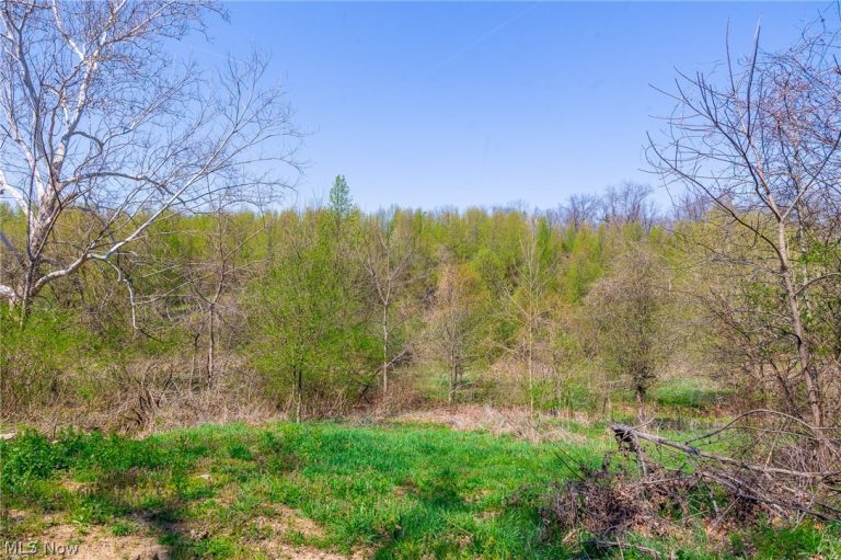 245 Liberty Road, New Concord, OH - Photo 5