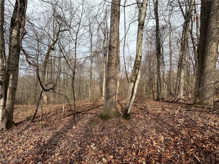 Wilbur Bush Road, Crooksville, OH - Photo 6