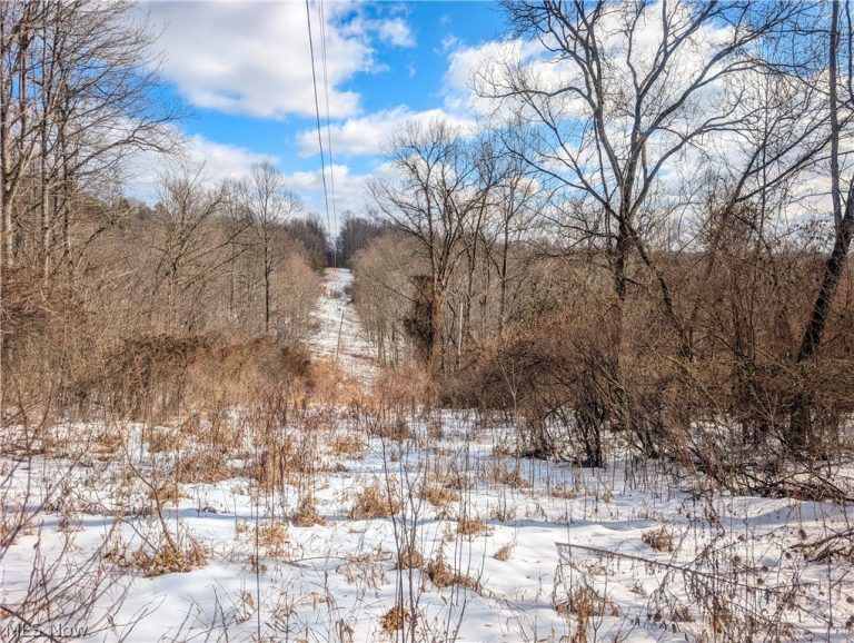 0 Tract 13 Ayers Ridge, Lower Salem, OH, 43788