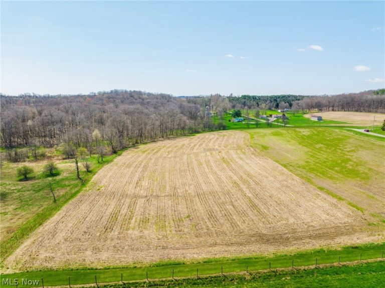 9050 Freeman Road, Lisbon, OH - Photo 8