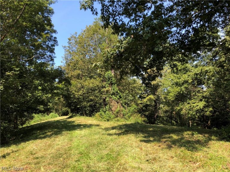 1475 St Rte 124, Coolville, OH - Photo 5