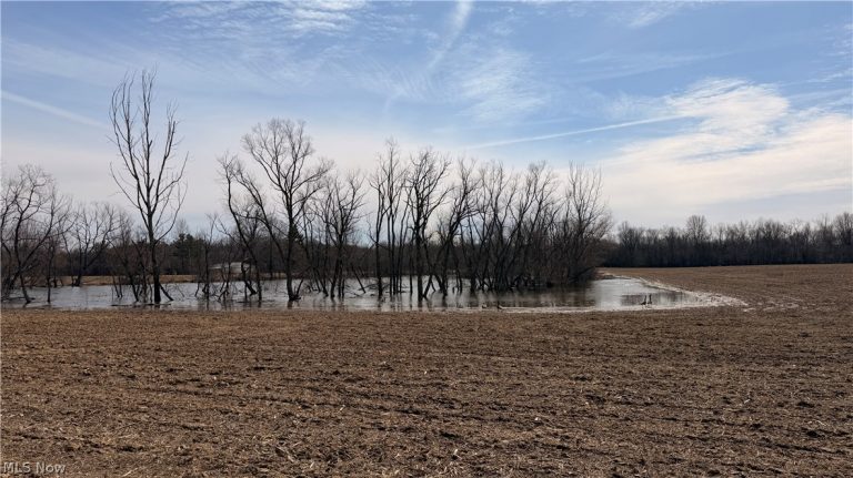 Us-20, Oberlin, OH - Photo 5