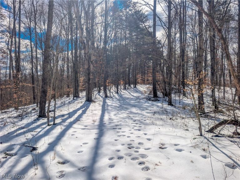0 Tract 13 Ayers Ridge, Lower Salem, OH - Photo 3