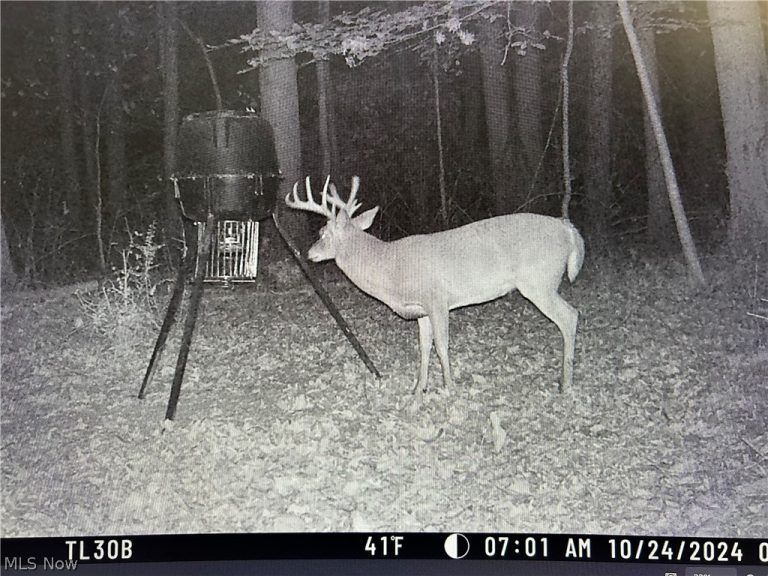 22681 Lexington Road, Alliance, OH - Photo 3