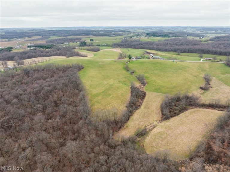 SR-516, Dundee, OH - Photo 8