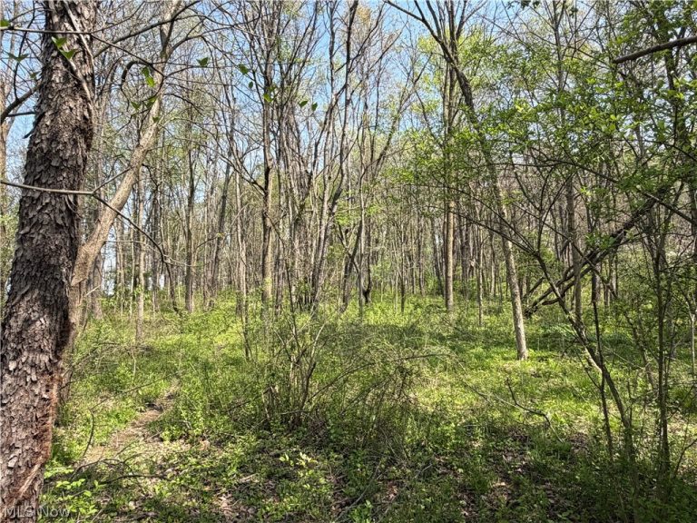 Village Street, Canton, OH - Photo 5