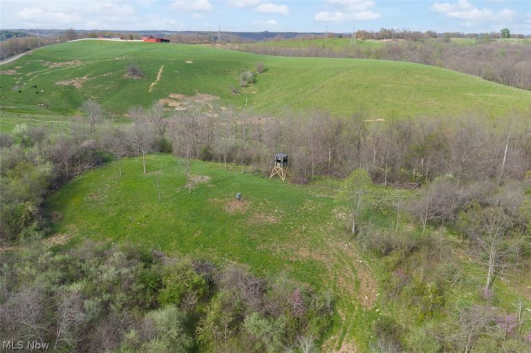 81910 Ourant Road, Cadiz, OH - Photo 4