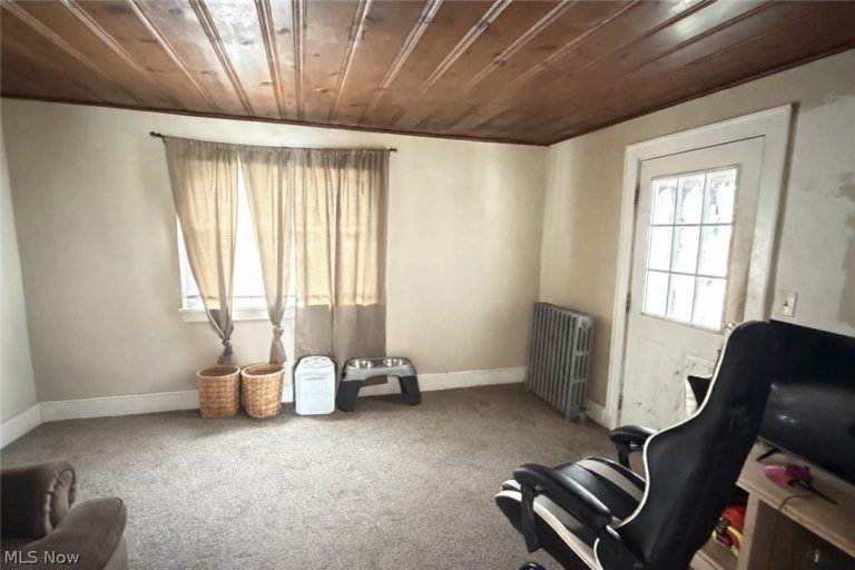 1333 Kellogg Avenue, Akron, OH - Photo 4