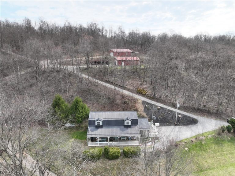 39000 Lees Run Road, Cadiz, OH - Photo 8