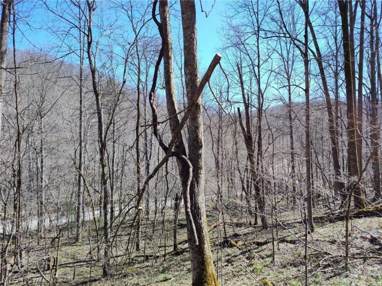 Route 119, Clendenin, WV - Photo 5